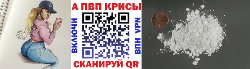 APVP СК  Цоци-Юрт 