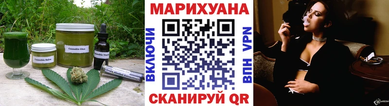 Cannafood конопля  Цоци-Юрт 