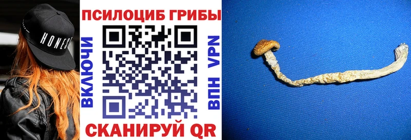 omg как зайти  где найти   Цоци-Юрт  Псилоцибиновые грибы Magic Shrooms 